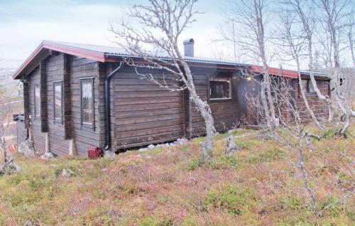 Lovely Home In Vemdalen With Ethernet Internet